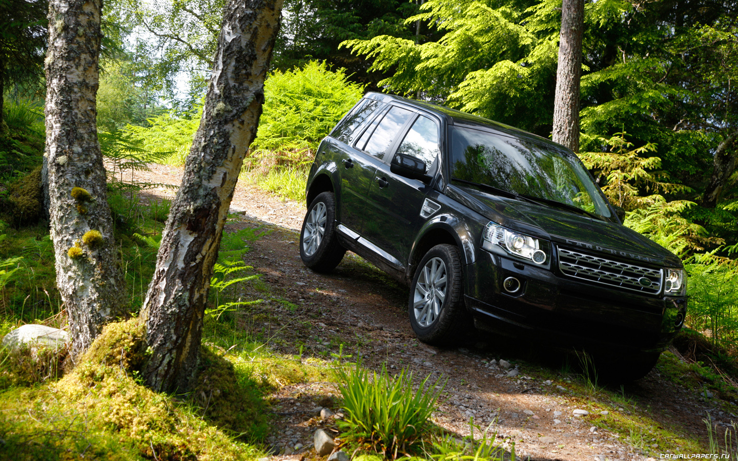 Land Rover Freelander 2 2013 красный